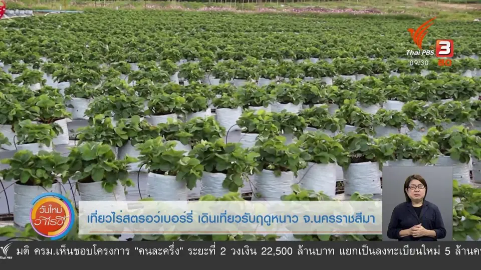 ​สีสันวาไรตี้ (9 ธ.ค. 63)