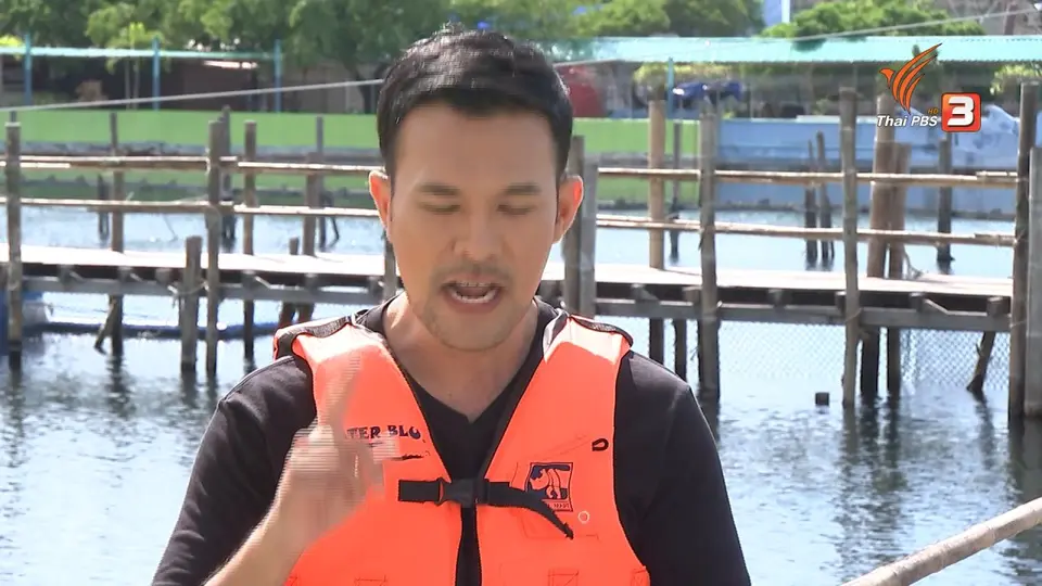 ​วันใหม่วาไรตี้วันหยุด : โลมาสีชมพู ฉลาดแสนรู้ ที่โอเอซีสซีเวิลด์
