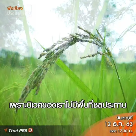 จุดเริ่มต้นการไปตามหาพันธุ์ข้าวที่หายไป