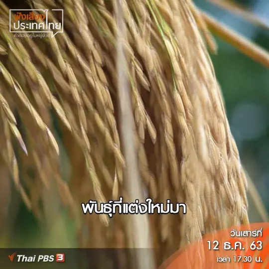 ศักดิ์ศรีของชาวนาคือการได้ตั้งราคาข้าวเอง