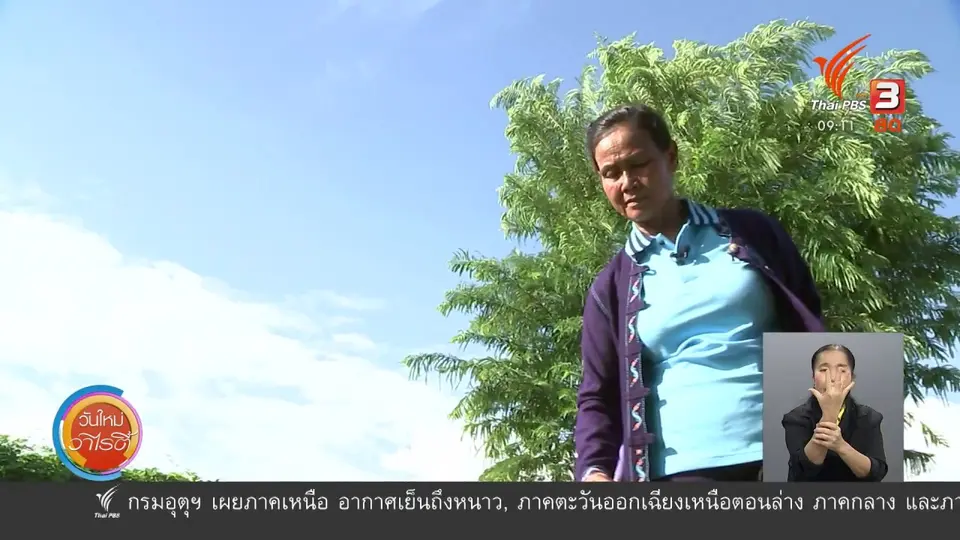 ​แสงจากพ่อ สู่ความยั่งยืน : ส่งเสริมอาชีพเกษตรกร ตามรอยเศรษฐกิจพอเพียง
