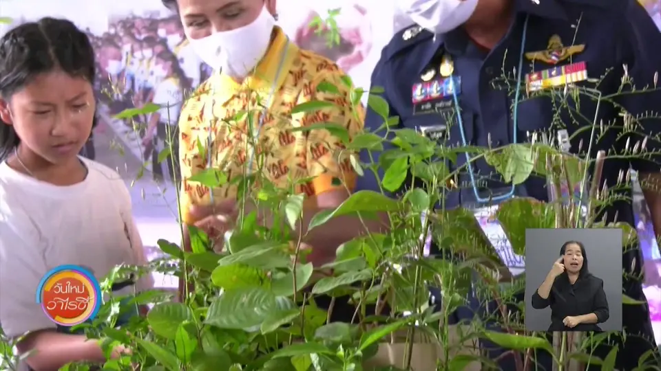แสงจากพ่อ สู่ความยั่งยืน : ฟื้นฟูป่าน่านด้วยศาสตร์พระราชา