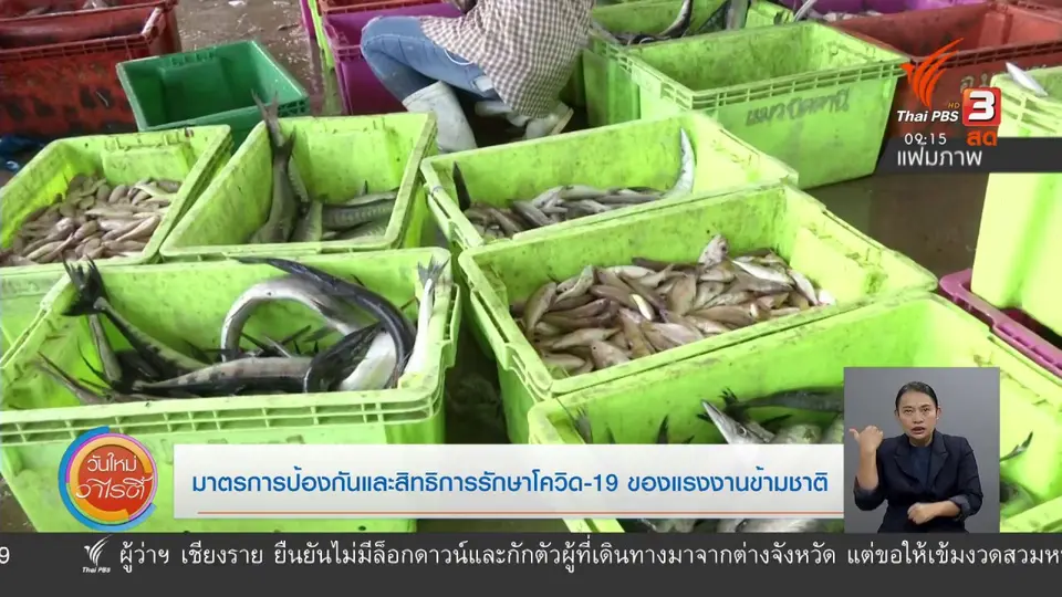 ประเด็นสังคม : มาตรการป้องกันและสิทธิการรักษาโควิด-19 ของแรงงานข้ามชาติ