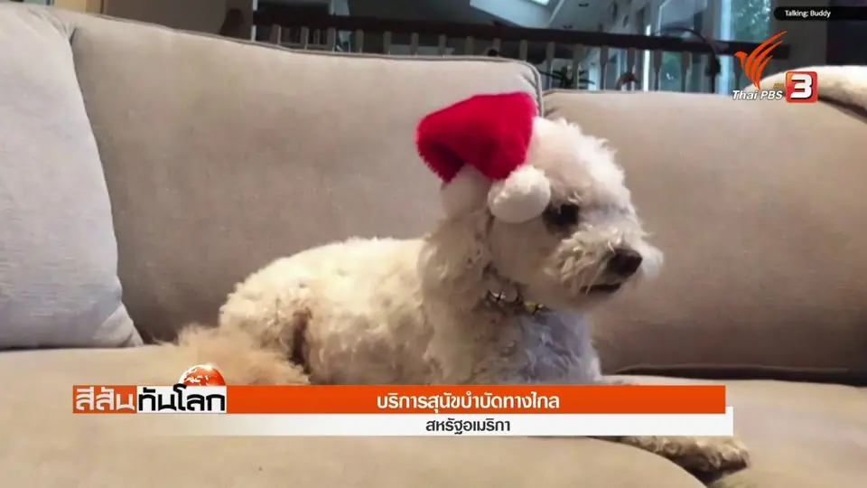 ​บริการสุนัขบำบัดทางไกล