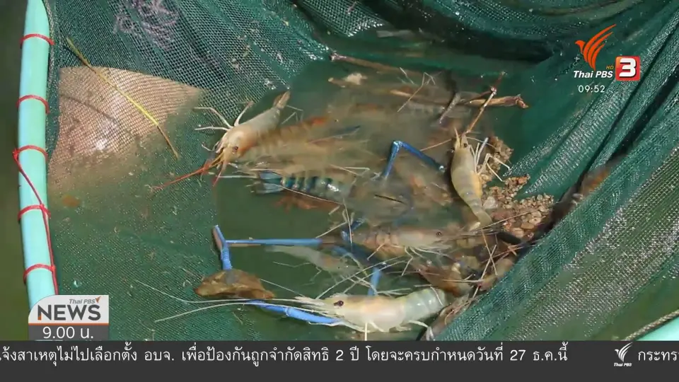 สถานีร้องทุกข์ : ประเด็นข่าว (26 ธ.ค. 63)