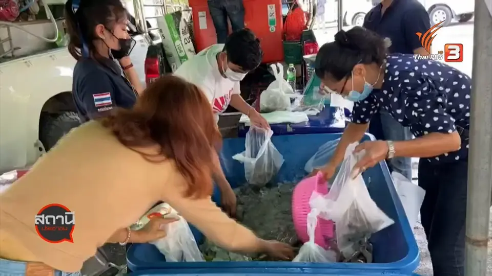 ​สถานีร้องเรียน : กรมประมง ออกมาตรการรับมือ COVID-19