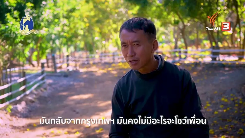 แสงจากพ่อ สู่ความยั่งยืน : ความสุขปลูกได้ ณ ไร่อุ๊ยกื๋อ
