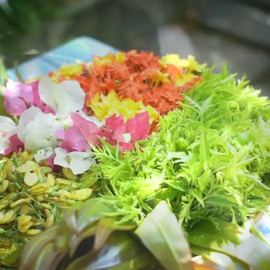 พืชผักจากสวยป่าเกด กินได้