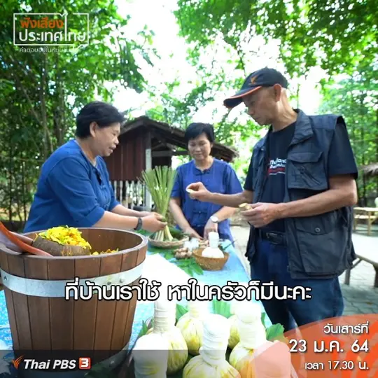 ลูกประคบจากสมุนไพรป่าเกด