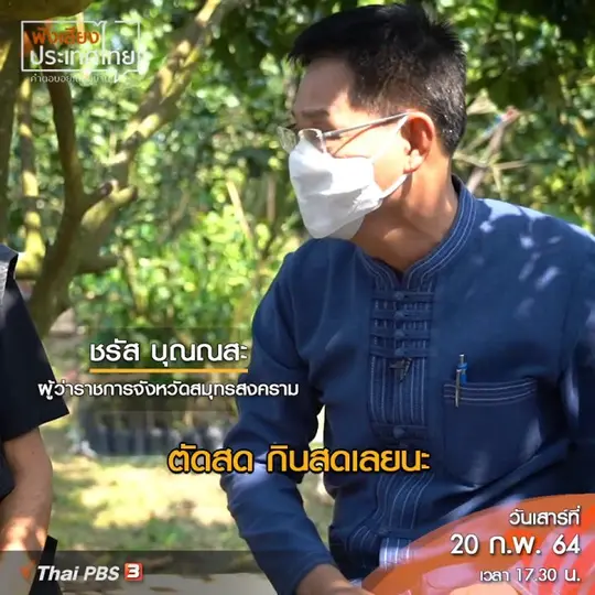 เทคนิคการปอกส้มโอขาวใหญ่ให้หวานกรอบ