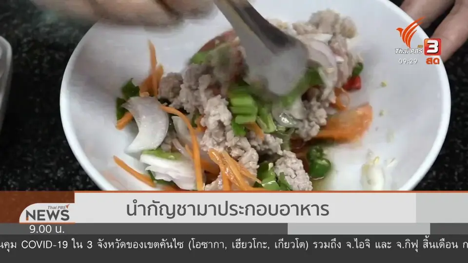 แตกประเด็นข่าว : ภัยแฝง เมนูอาหารผสมกัญชา