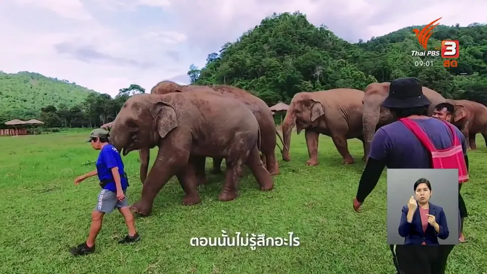 ​ดอกผลของความยั่งยืน : ค้นหาคำตอบของความสุขกับ "ป้าป้อม" คนเลี้ยงช้าง