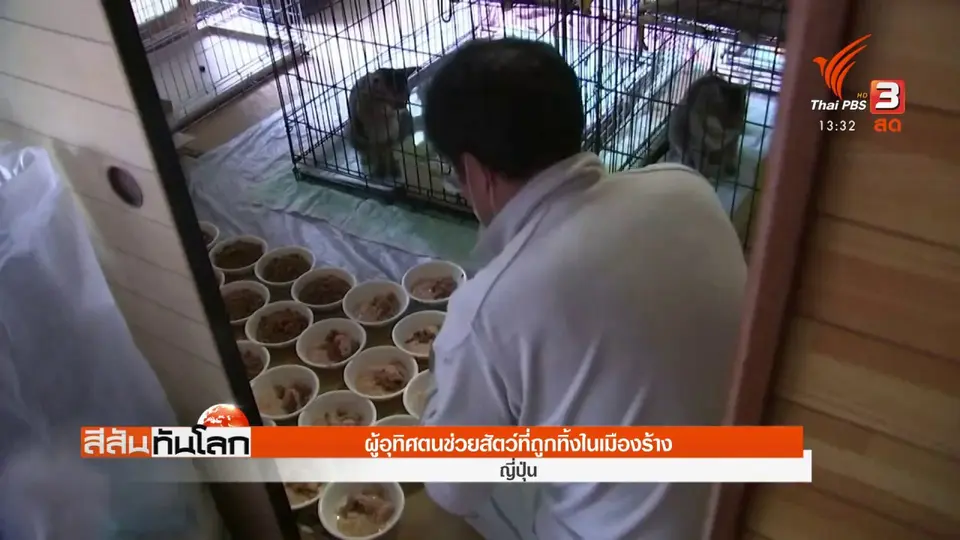 ผู้อุทิศตนช่วยสัตว์ที่ถูกทิ้งในเมืองร้าง