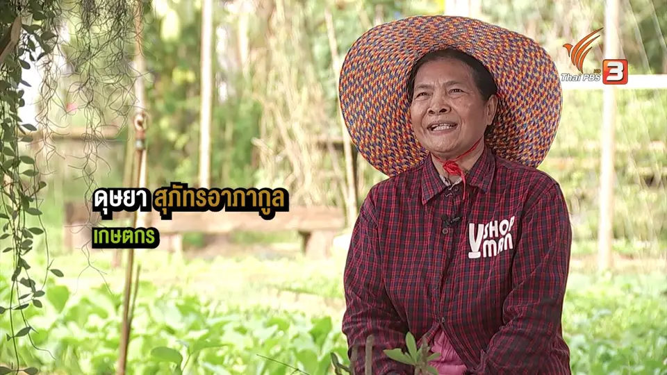 ดอกผลของความยั่งยืน : โรยปุ๋ยด้วยใจ พลิกดินเปรี้ยวสู่ความเขียวขจี