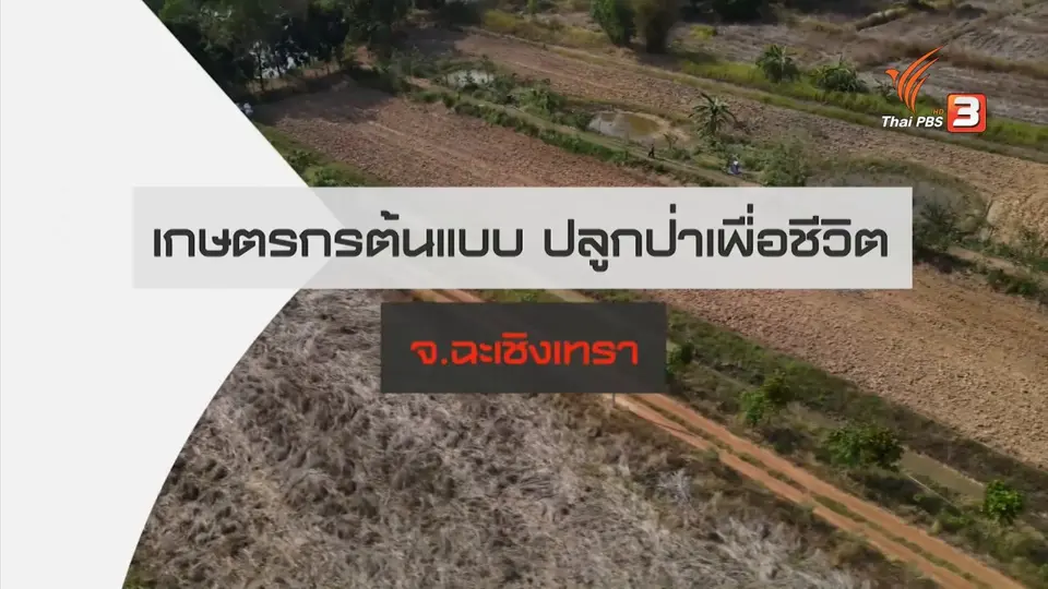 สถานีร้องเรียน : เกษตรกรต้นแบบ ปลูกป่าเพื่อชีวิต จ.ฉะเชิงเทรา