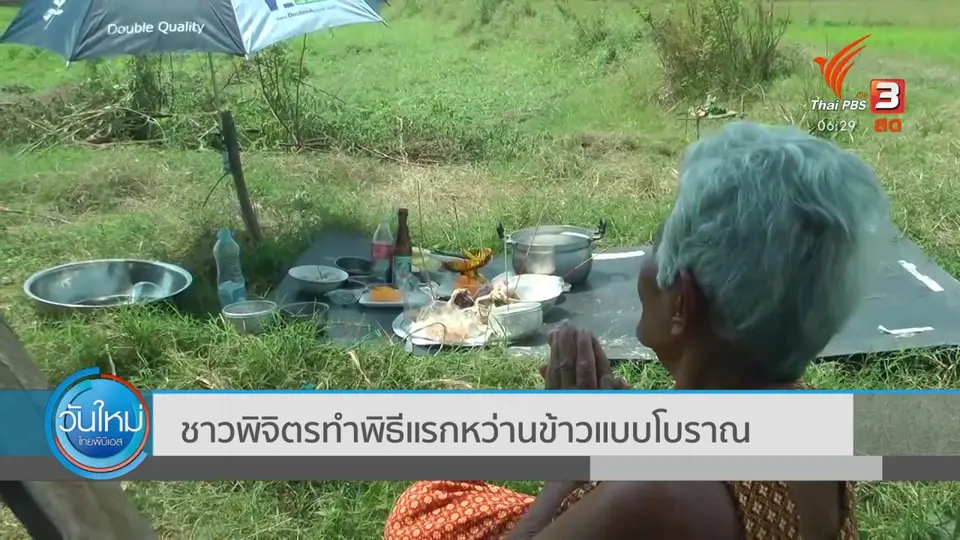 ​ชาวพิจิตรทำพิธีแรกหว่านข้าวแบบโบราณ