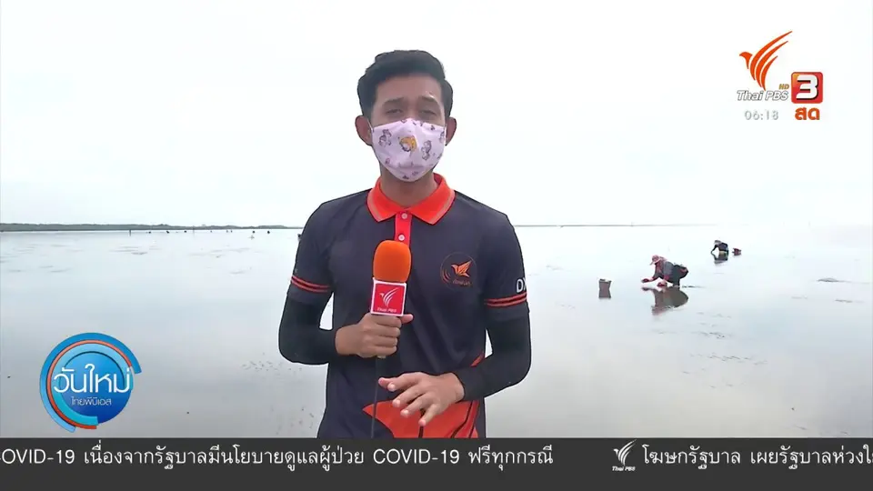 ​2 องศา ทำมาหากิน ดิน ฟ้า อากาศ : พายุส่งผล ขยะ - น้ำเสีย เกยดอนหอยหลอด