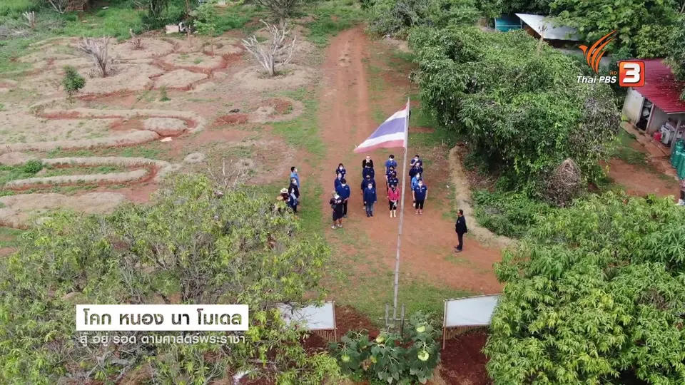 ดอกผลของความยั่งยืน : โคก หนอง นา โมเดล สู้อยู่รอดตามศาสตร์พระราชา