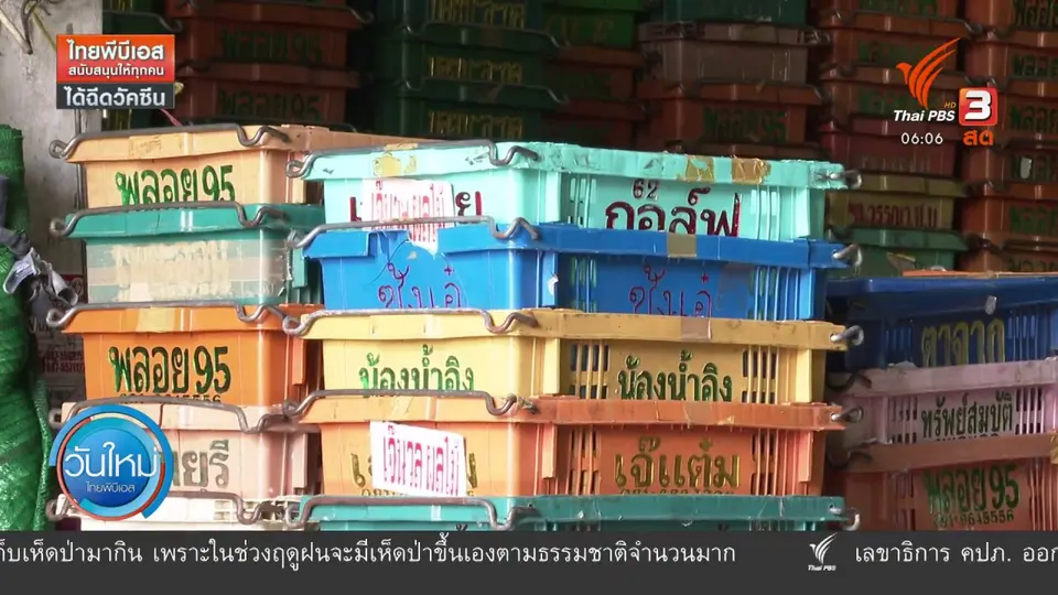 ​กินอยู่รู้รอบ : ผลกระทบปิดตลาดปากคลองตลาด