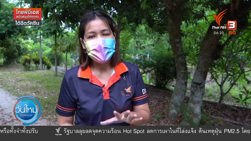 ​2 องศา ทำมาหากิน ดิน ฟ้า อากาศ : อากาศแปรปรวนส่งผลลิ้นจี่ราคาตก