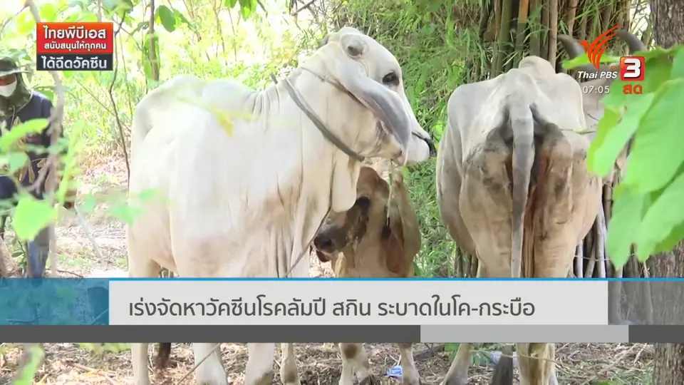 ​2 องศา ทำมาหากิน ดิน ฟ้า อากาศ : อุตุฯ เตือนชาวเรือบริเวณอันดามันควรงดเดินเรือ