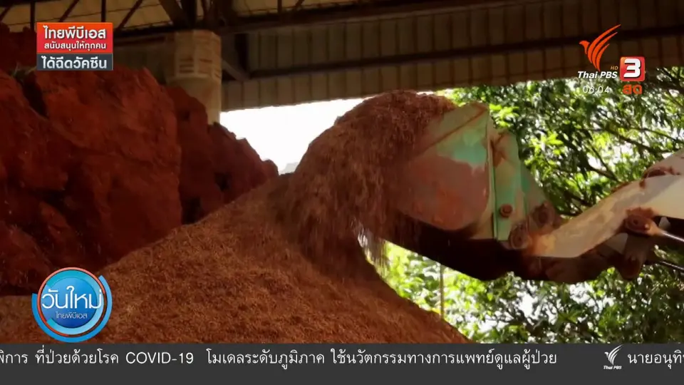​กินอยู่รู้รอบ : เกษตรกร จ.ตราด เพาะพันธุ์ต้นทุเรียนขายรายได้ดี