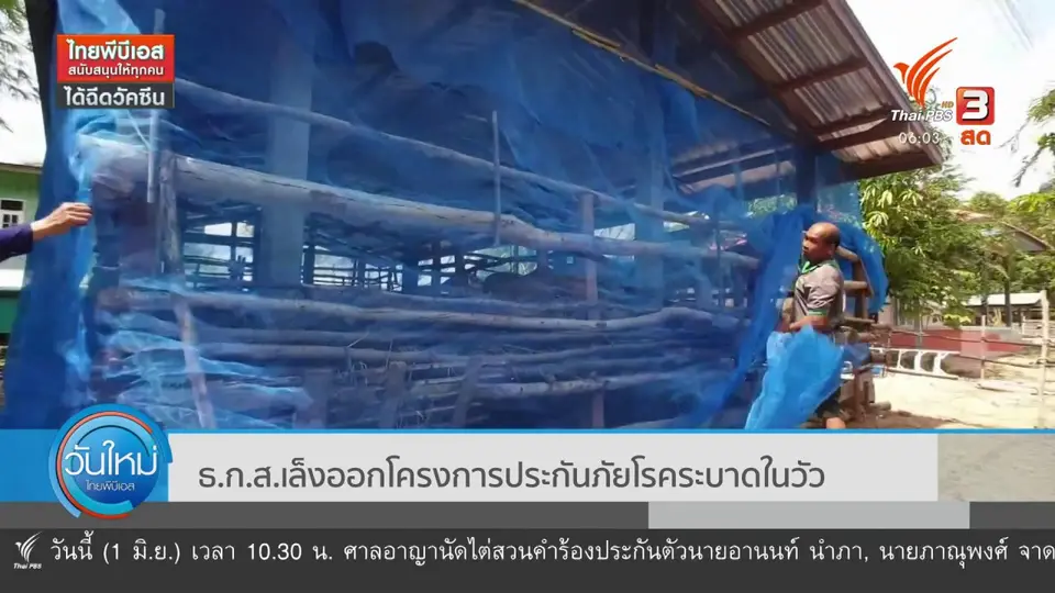 ​กินอยู่รู้รอบ : "เฉลิมชัย" เเนะผู้บริโภครับปทานเนื้อวัวปรุงสุก