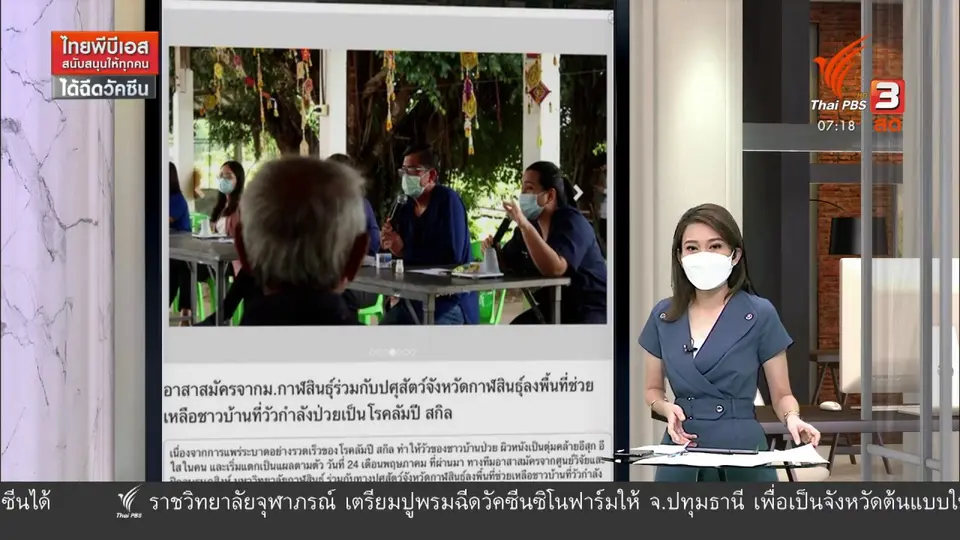 ​C-Site Focus พิกัดข่าว : ผลกระทบโรค “ลัมปีสกิน” ในโค-กระบือ จ.กาฬสินธุ์