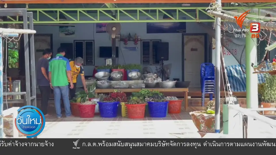 C-Site Focus พิกัดข่าว : เกลอเขา - เกลอเล ช่วยชุมชนอยู่รอดในวิกฤตโควิด-19