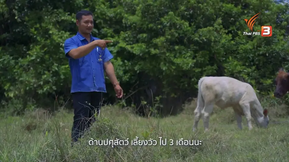 ดอกผลของความยั่งยืน : ตามรอยพ่อ ขอทำเพื่อบ้านเกิด เด่น ละโพ๊ะ