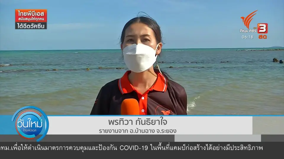 ​2 องศา ทำมาหากิน ดิน ฟ้า อากาศ : ปะการังฟอกขาวเร็วกว่าทุกปีใน จ.ระยอง