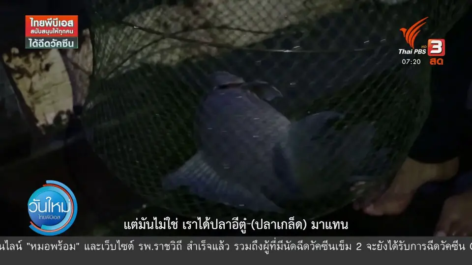 C-Site Focus พิกัดข่าว : วิถีพรานปลา อ.เมือง จ.นครพนม