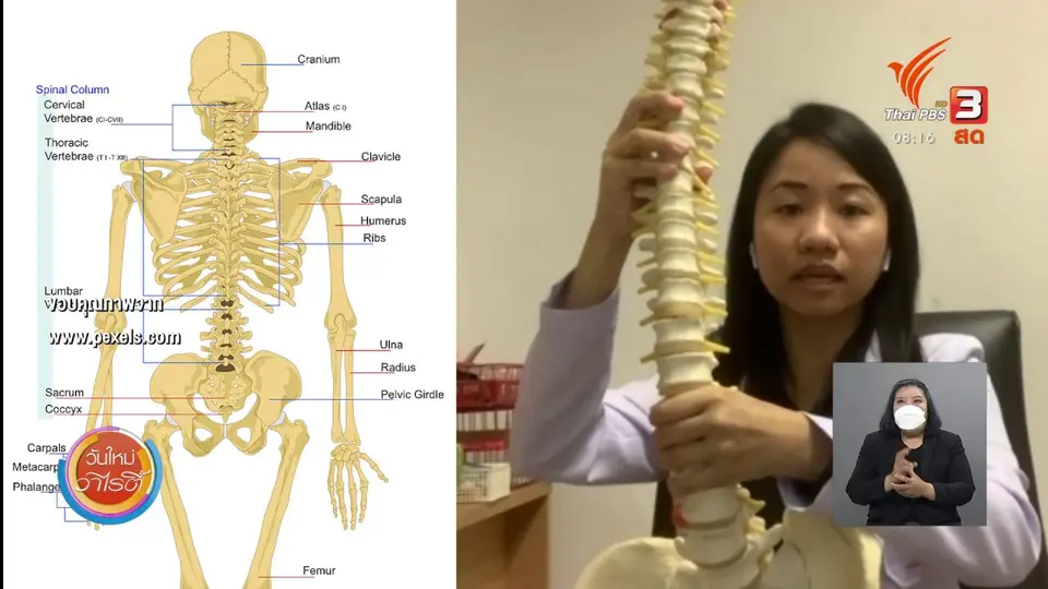 ชัวร์หรือมั่ว : นั่งทับกระเป๋าสตางค์เสี่ยงกระดูกหลังคด ?