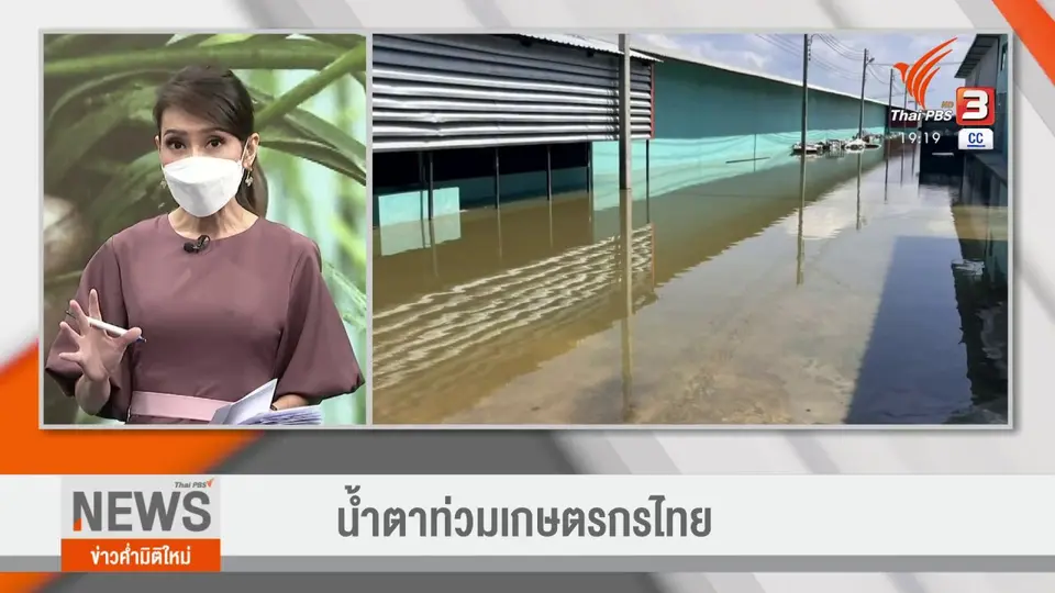 ​วัคซีนเศรษฐกิจ : น้ำตาท่วมเกษตรกรไทย