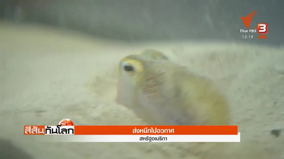 ​ส่งหมึกไปอวกาศ