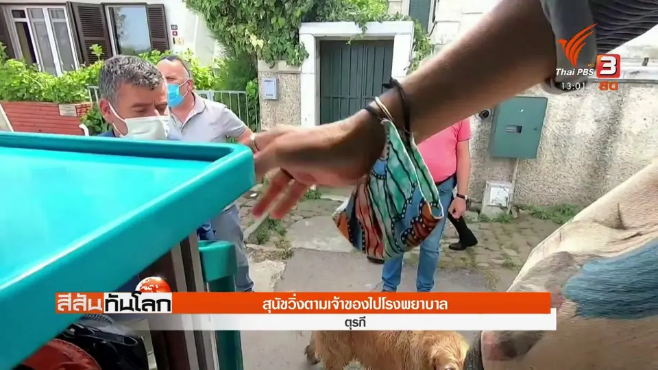 ​สุนัขวิ่งตามเจ้าของไปโรงพยาบาล