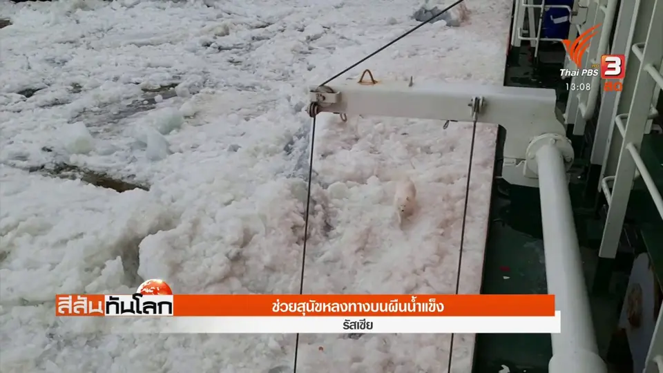 ​ช่วยสุนัขหลงทางบนผืนน้ำแข็ง
