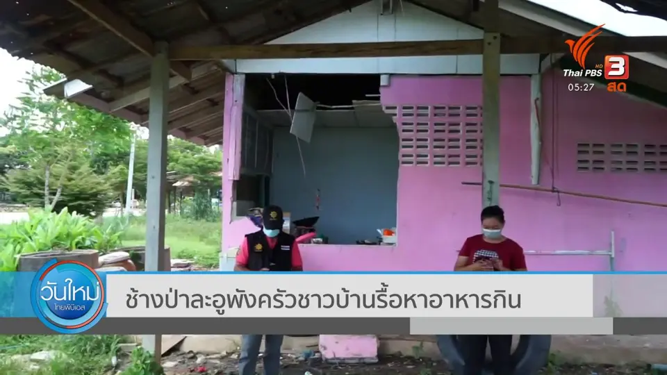 ช้างป่าละอูพังครัวชาวบ้านรื้อหาอาหารกิน