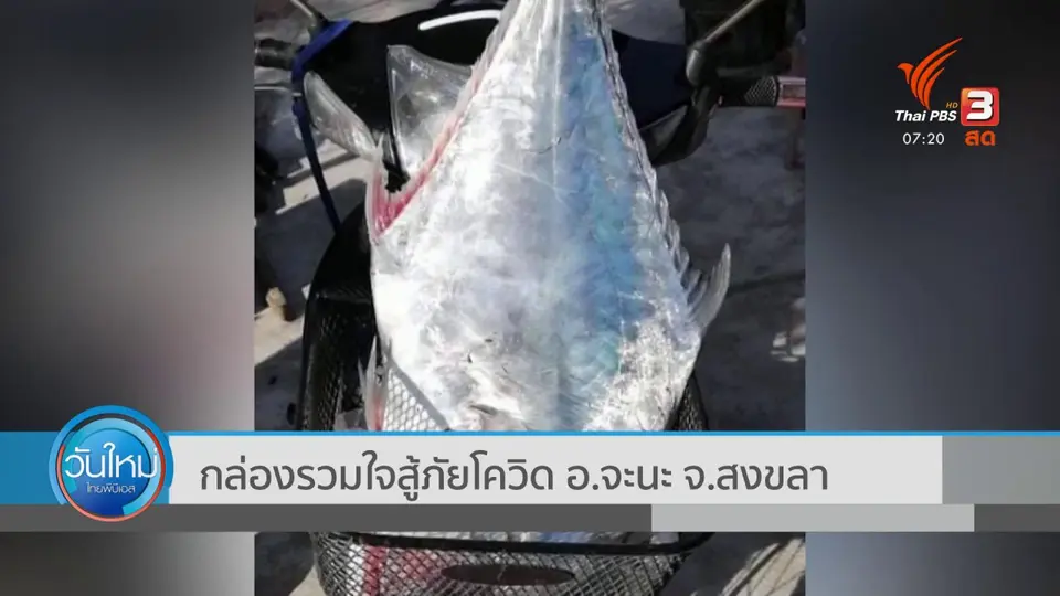 C-Site Focus พิกัดข่าว : กลุ่มอนุรักษ์บ่อนอก จัดงานรำลึก 17 ปี "เจริญ วัดอักษร"