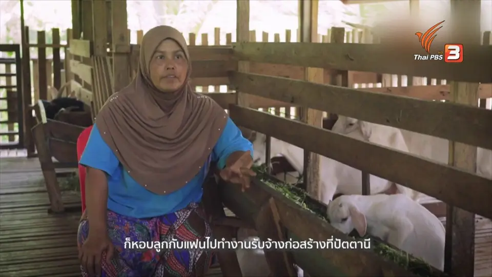 ดอกผลของความยั่งยืน : ความจนกลัวคนขยัน