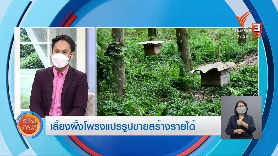 สีสันวาไรตี้ (14 มิ.ย. 64)