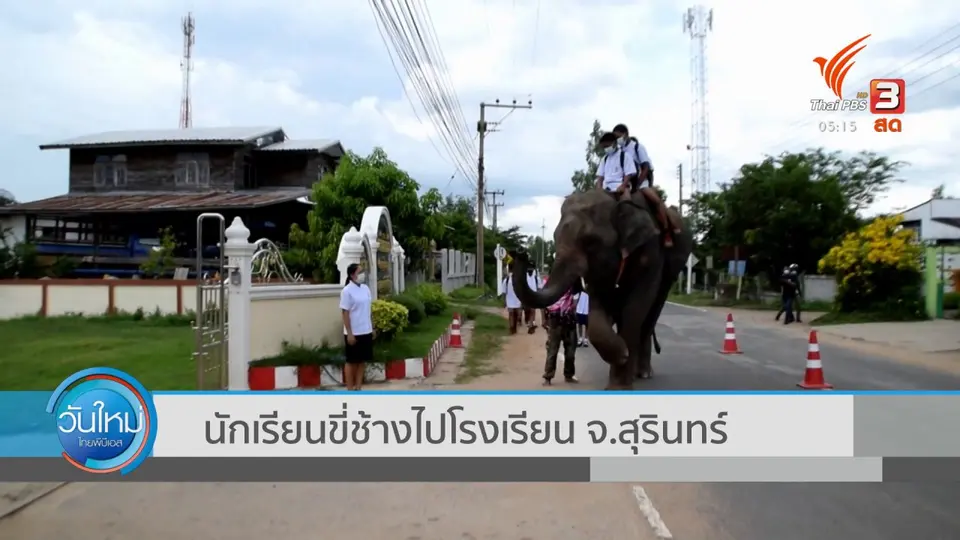 นักเรียนขี่ช้างไปโรงเรียน จ.สุรินทร์