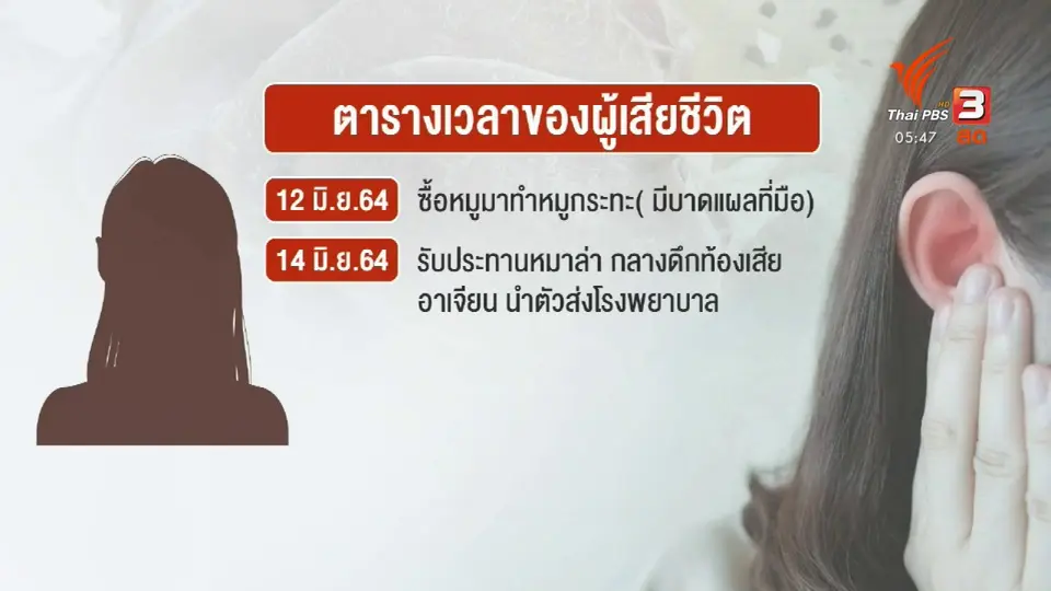 เตือนเลี่ยงกินหมูดิบเสี่ยงป่วยไข้หูดับ