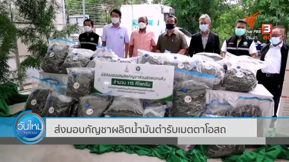 ส่งมอบกัญชาผลิตน้ำมันตำรับเมตตาโอสถ