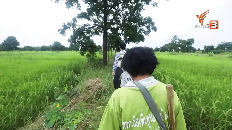 ดอกผลของความยั่งยืน : ออกแบบสุขภาพด้วยเศรษฐกิจพอเพียง