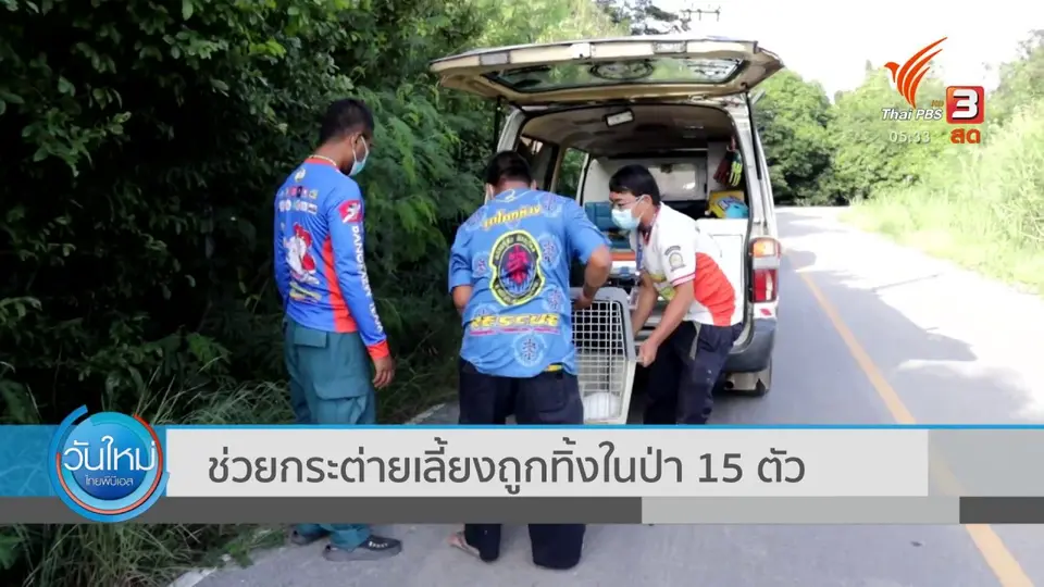 ช่วยกระต่ายเลี้ยงถูกทิ้งในป่า 15 ตัว