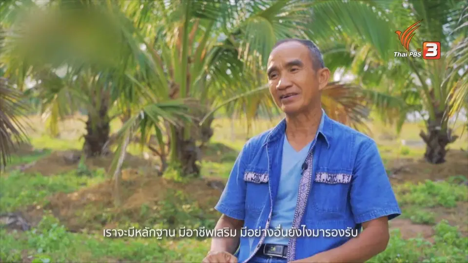 ดอกผลของความยั่งยืน : มะพร้าวบำนาญ