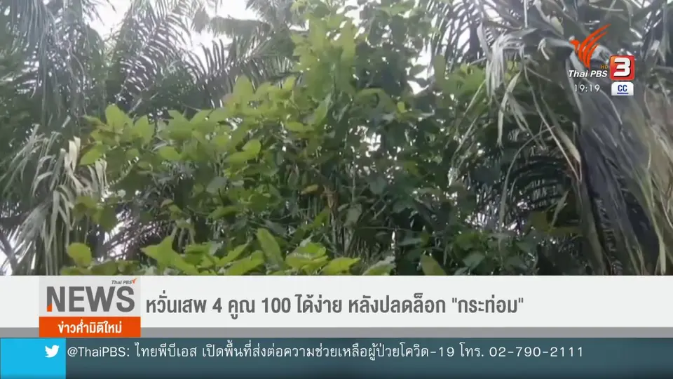 ​หวั่นเสพ 4 คูณ 100 ได้ง่าย หลังปลดล็อก "กระท่อม"