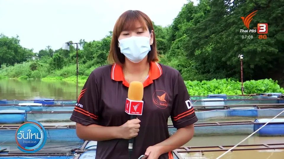 ​2 องศา ทำมาหากิน ดิน ฟ้า อากาศ : ชาวบ้านสิงห์บุรี เฝ้าระวังเจ้าพระยาเพิ่มการระบายน้ำ