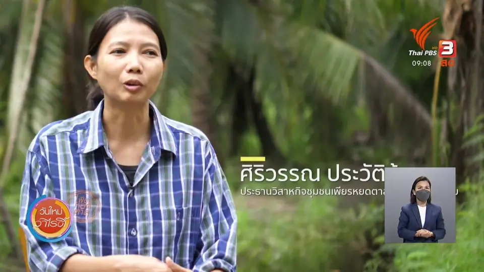 ดอกผลของความยั่งยืน : “เพียรหยดตาล”น้ำตาลมะพร้าวอินทรีย์ ความเพียรจากชุมชน
